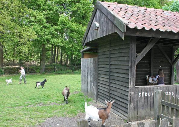 Land Gut Hotel Ritter Stadtlohn Eksteriør bilde